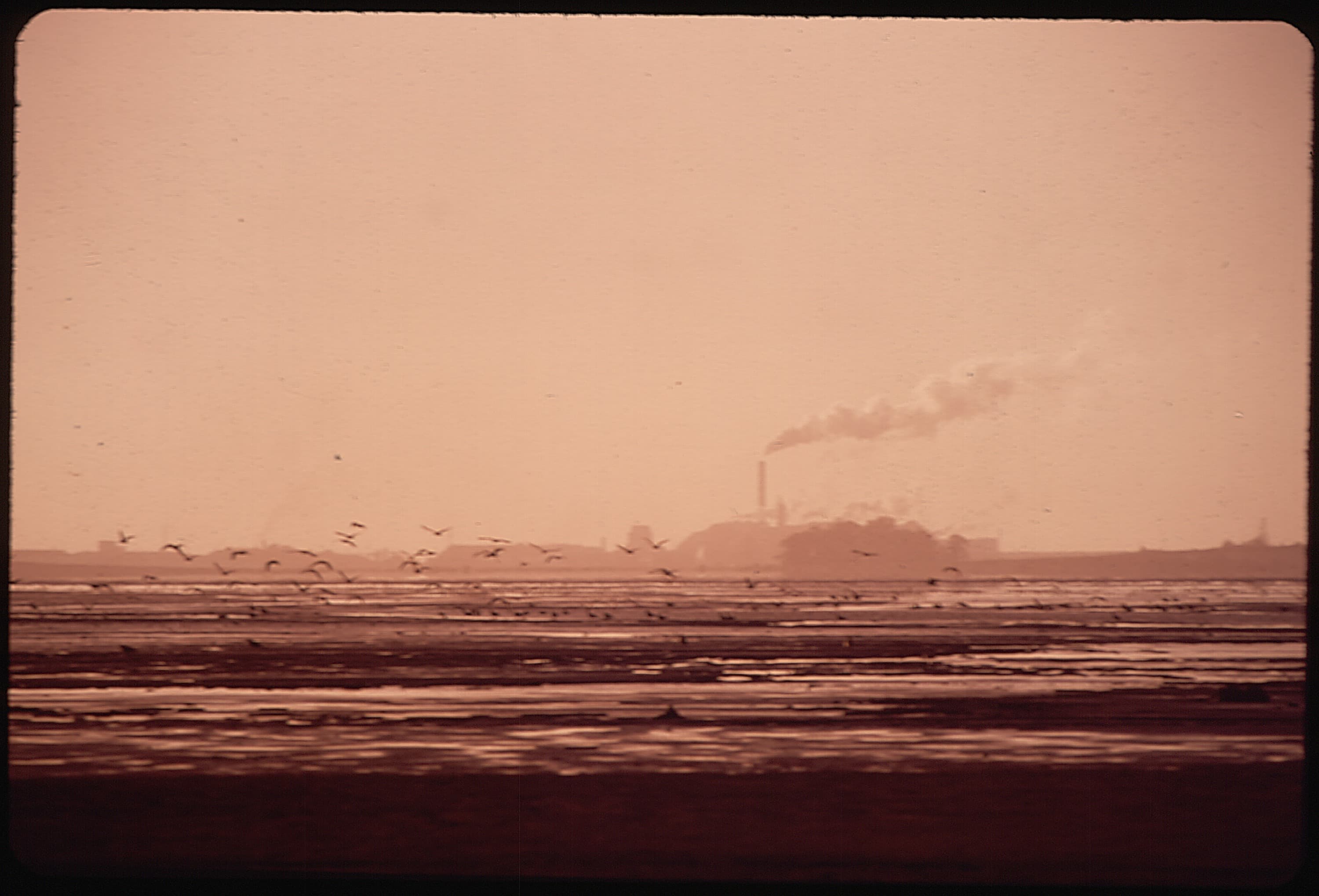 Aerial view of Humboldt Bay, California, from a May 1972 U.S. Environmental Protection Agency DOCUMERICA photograph (file photo)