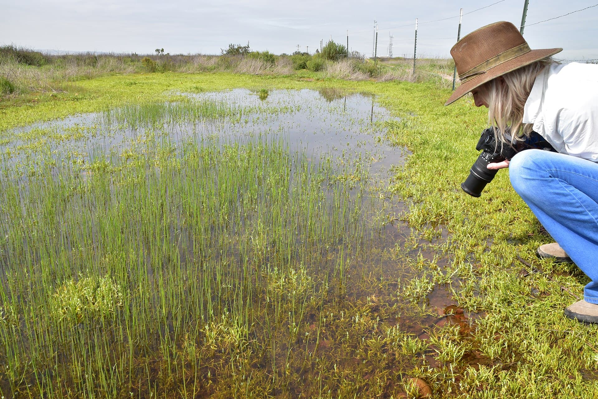 A U.S. Fish and Wildlife Service staffer photographs endangered San Diego fairy shrimp in a seasonal vernal pool in Otay Mesa, San Diego County, Feb. 27, 2018. Seasonal waters like this are the kind the coalition says the proposed rule would leave unprotected (file photo)