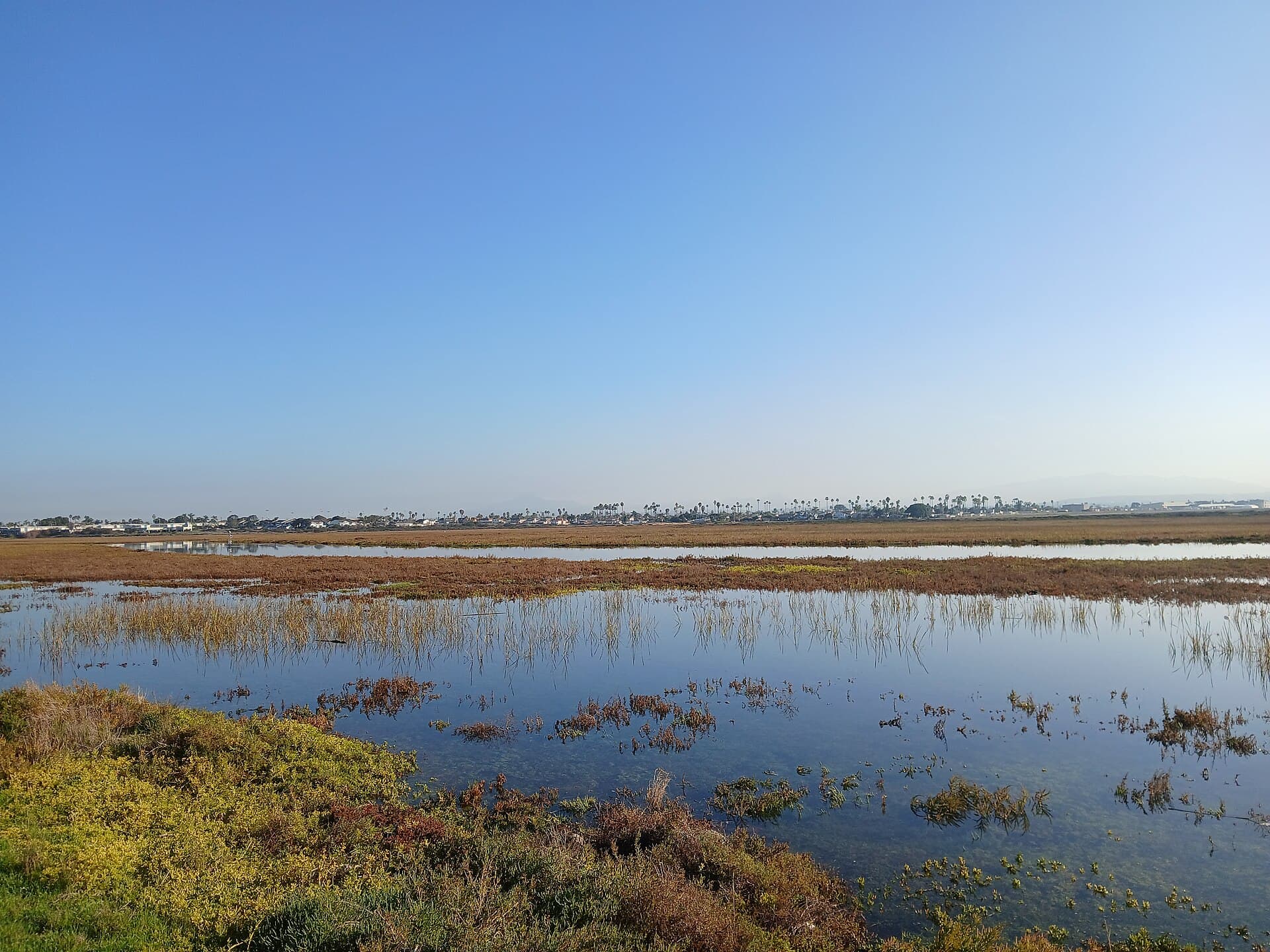 The Tijuana River Estuary in Imperial Beach, where the Tijuana River meets the Pacific, December 2025 (file photo)