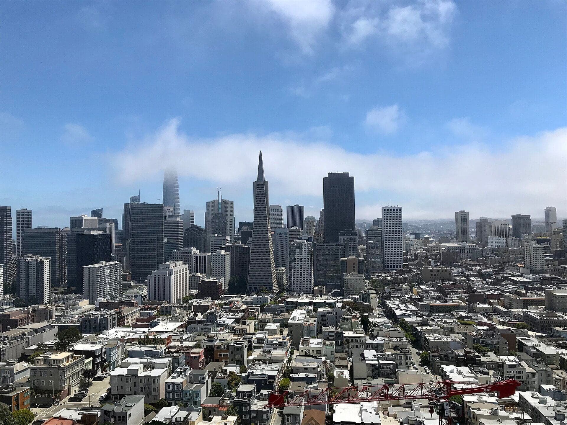 The Financial District of San Francisco seen from Coit Tower, with the Transamerica Pyramid and Salesforce Tower